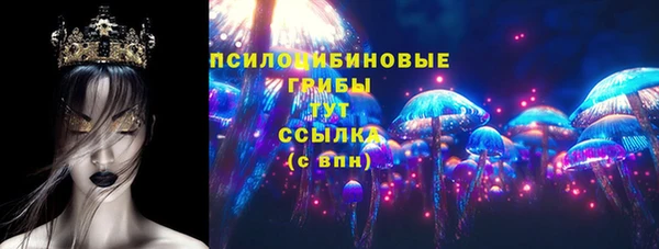 прущий лед Абаза
