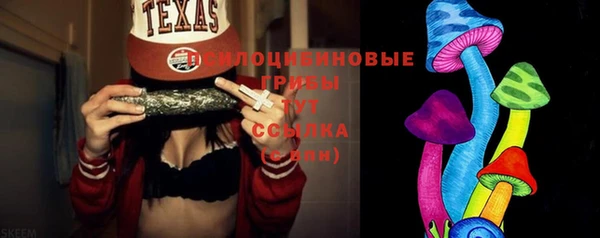 прущий лед Абаза